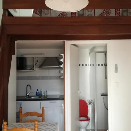 Mezzanine A 200m De La Plage, Terrasse, Parking Prive, Animaux Admis - - Fr-1-194-272 Apartment