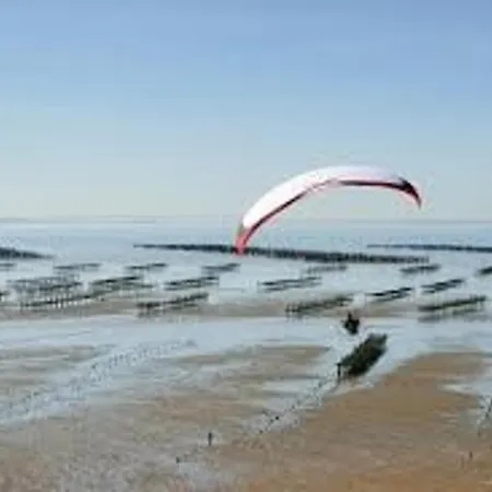 Mezzanine A 200m De La Plage, Terrasse, Parking Prive, Animaux Admis - - Fr-1-194-272