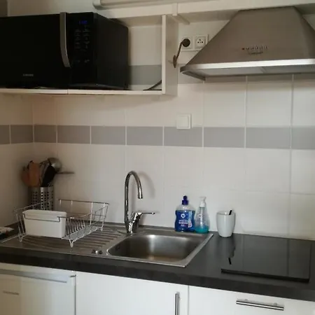 Mezzanine A 200m De La Plage, Terrasse, Parking Prive, Animaux Admis - - Fr-1-194-272 Apartment